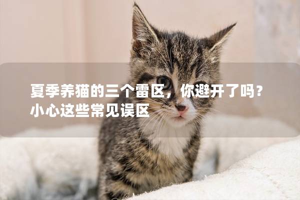 夏季养猫的三个雷区，你避开了吗？小心这些常见误区