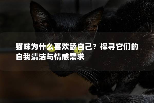 猫咪为什么喜欢舔自己？探寻它们的自我清洁与情感需求