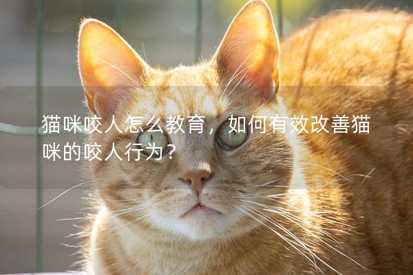 猫咪咬人怎么教育，如何有效改善猫咪的咬人行为？