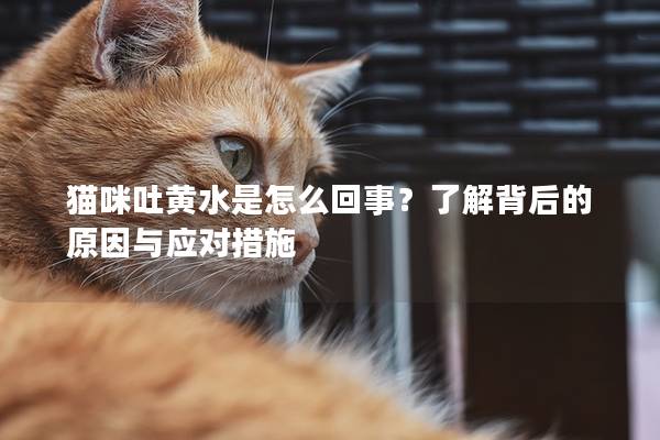 猫咪吐黄水是怎么回事？了解背后的原因与应对措施