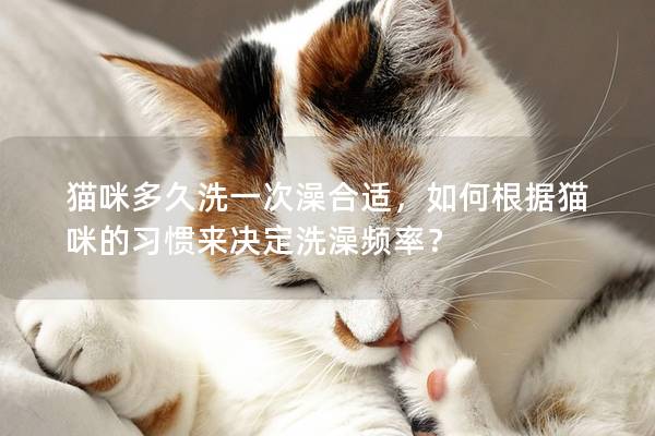 猫咪多久洗一次澡合适，如何根据猫咪的习惯来决定洗澡频率？