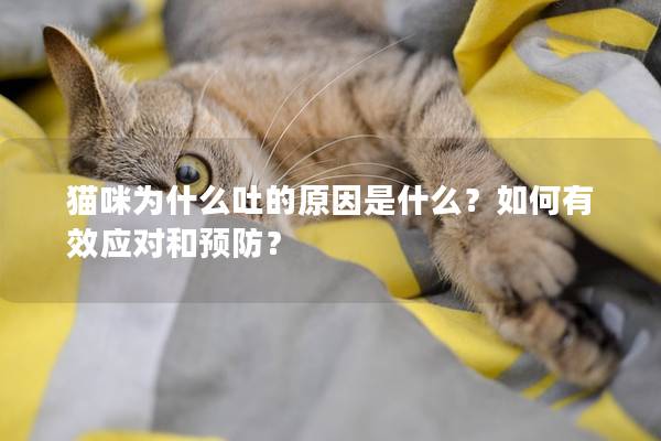 猫咪为什么吐的原因是什么？如何有效应对和预防？