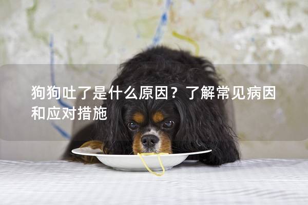 狗狗吐了是什么原因？了解常见病因和应对措施