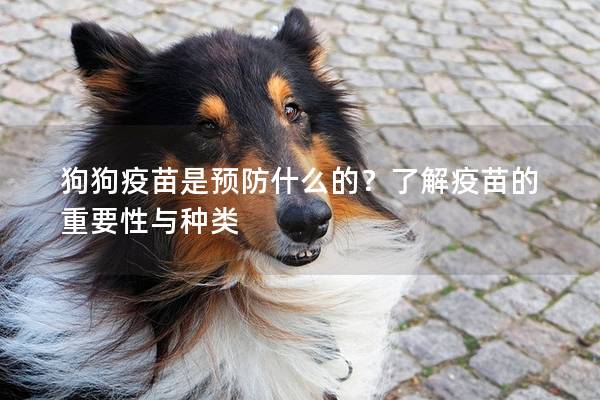 狗狗疫苗是预防什么的？了解疫苗的重要性与种类