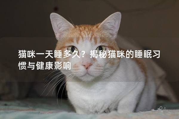 猫咪一天睡多久？揭秘猫咪的睡眠习惯与健康影响