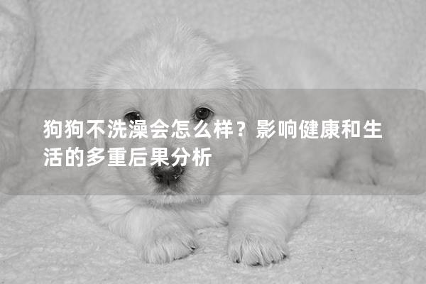 狗狗不洗澡会怎么样？影响健康和生活的多重后果分析