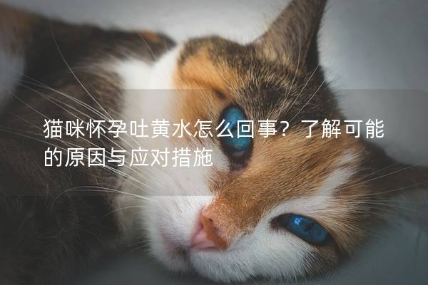 猫咪怀孕吐黄水怎么回事？了解可能的原因与应对措施