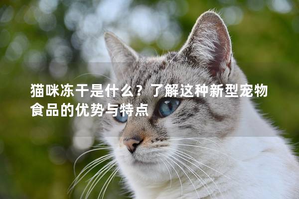 猫咪冻干是什么？了解这种新型宠物食品的优势与特点