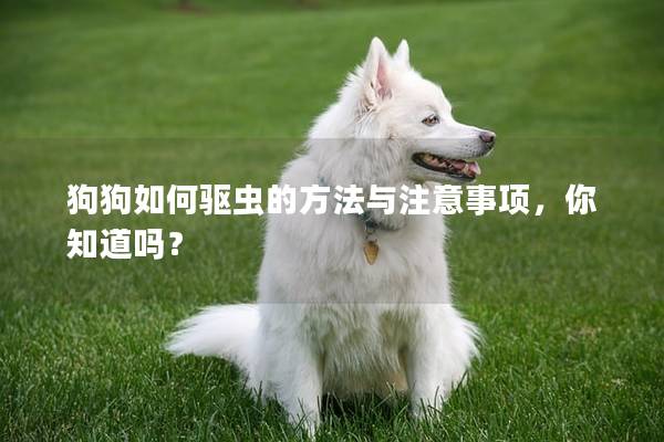 狗狗如何驱虫的方法与注意事项，你知道吗？