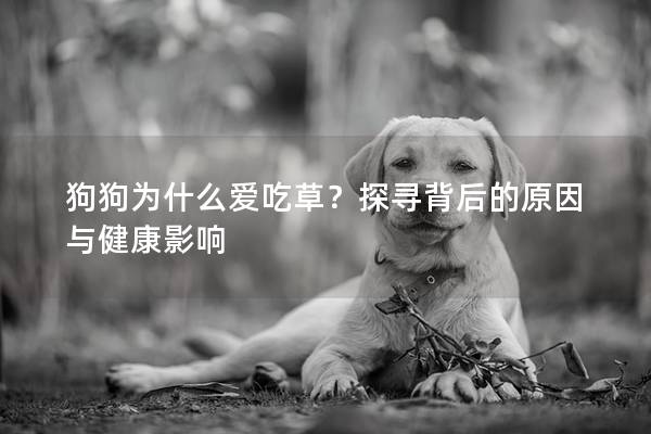 狗狗为什么爱吃草？探寻背后的原因与健康影响