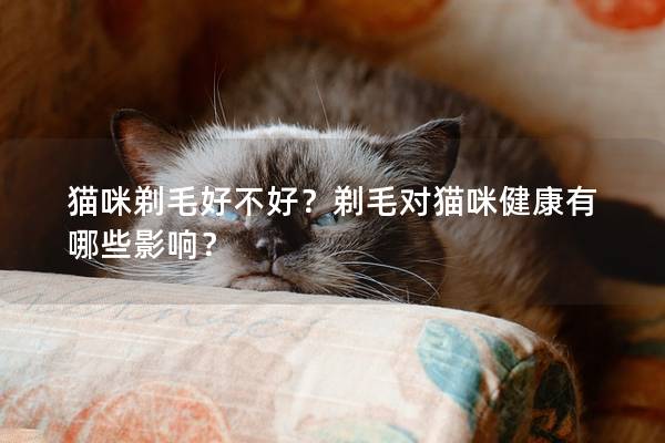 猫咪剃毛好不好？剃毛对猫咪健康有哪些影响？