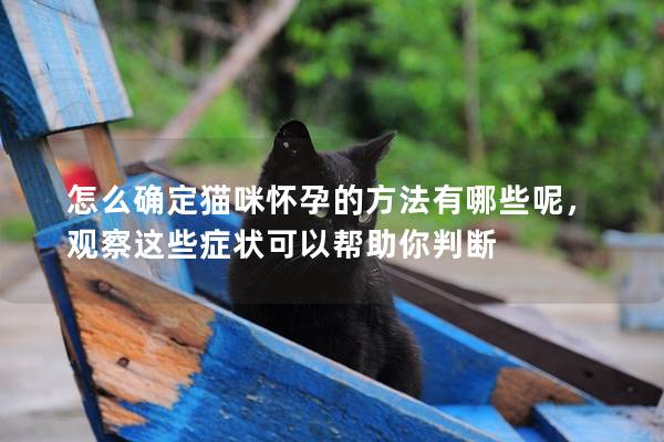 怎么确定猫咪怀孕的方法有哪些呢，观察这些症状可以帮助你判断