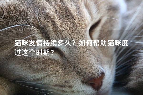 猫咪发情持续多久？如何帮助猫咪度过这个时期？