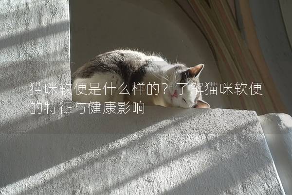 猫咪软便是什么样的？了解猫咪软便的特征与健康影响