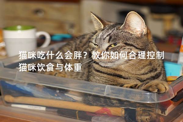 猫咪吃什么会胖？教你如何合理控制猫咪饮食与体重