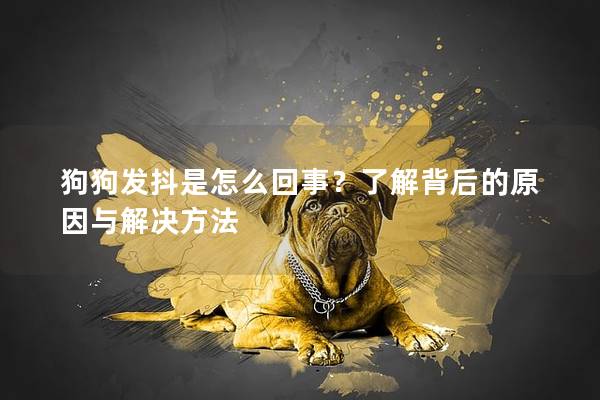 狗狗发抖是怎么回事？了解背后的原因与解决方法