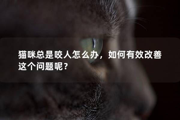 猫咪总是咬人怎么办，如何有效改善这个问题呢？