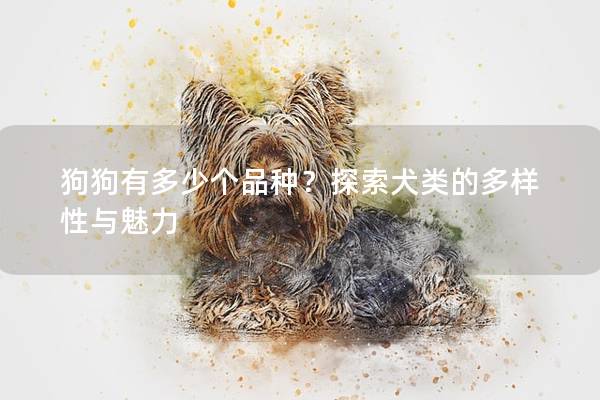 狗狗有多少个品种？探索犬类的多样性与魅力