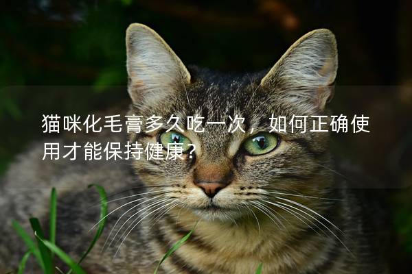 猫咪化毛膏多久吃一次，如何正确使用才能保持健康？