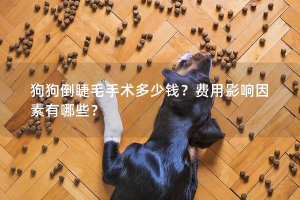 狗狗倒睫毛手术多少钱？费用影响因素有哪些？