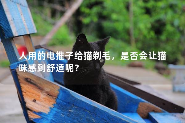 人用的电推子给猫剃毛，是否会让猫咪感到舒适呢？