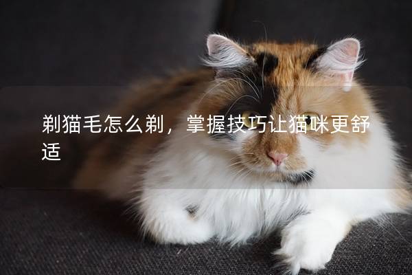 剃猫毛怎么剃，掌握技巧让猫咪更舒适