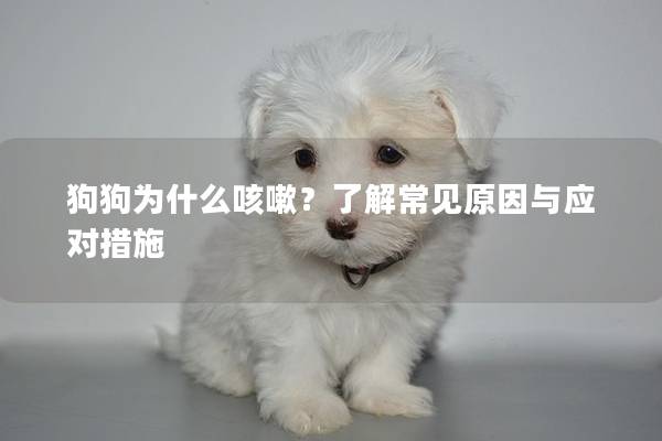 狗狗为什么咳嗽？了解常见原因与应对措施