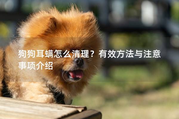 狗狗耳螨怎么清理？有效方法与注意事项介绍