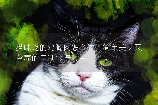 猫咪吃的鸡胸肉怎么做，简单美味又营养的自制食谱分享