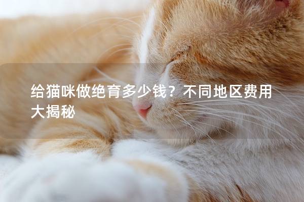 给猫咪做绝育多少钱？不同地区费用大揭秘