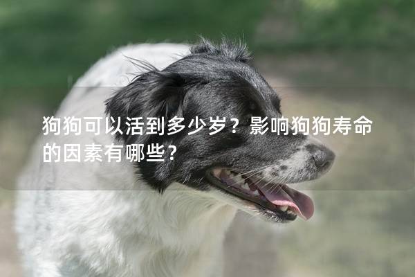 狗狗可以活到多少岁？影响狗狗寿命的因素有哪些？