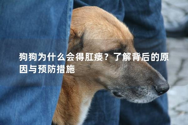 狗狗为什么会得肛瘘？了解背后的原因与预防措施