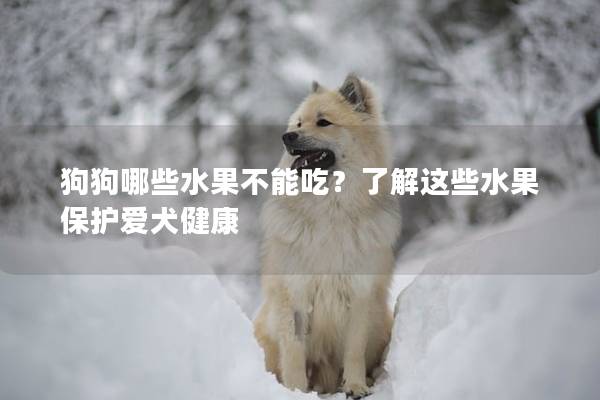 狗狗哪些水果不能吃？了解这些水果保护爱犬健康