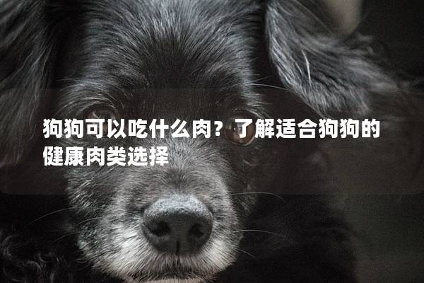 狗狗可以吃什么肉？了解适合狗狗的健康肉类选择