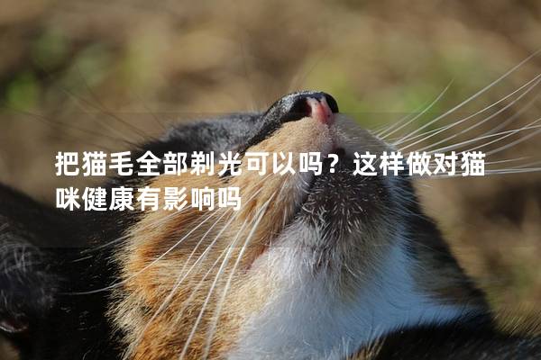 把猫毛全部剃光可以吗？这样做对猫咪健康有影响吗