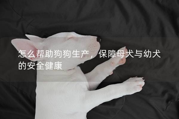 怎么帮助狗狗生产，保障母犬与幼犬的安全健康