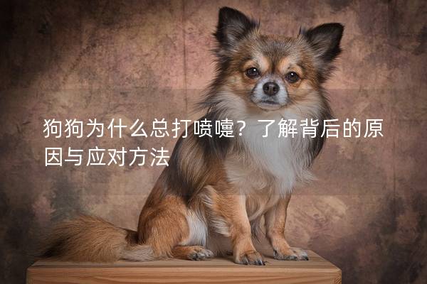 狗狗为什么总打喷嚏？了解背后的原因与应对方法