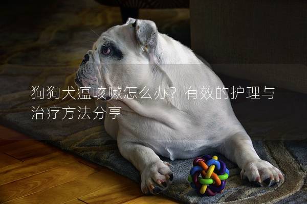 狗狗犬瘟咳嗽怎么办？有效的护理与治疗方法分享