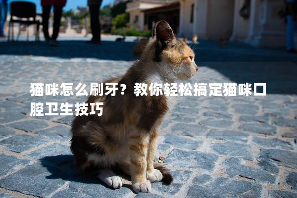 猫咪怎么刷牙？教你轻松搞定猫咪口腔卫生技巧