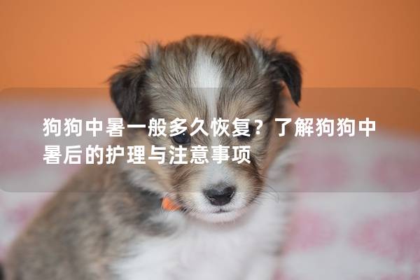 狗狗中暑一般多久恢复？了解狗狗中暑后的护理与注意事项