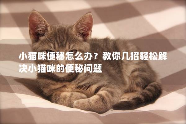 小猫咪便秘怎么办？教你几招轻松解决小猫咪的便秘问题