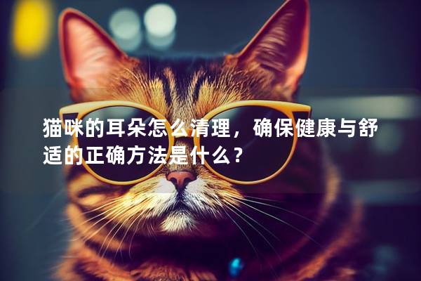 猫咪的耳朵怎么清理，确保健康与舒适的正确方法是什么？