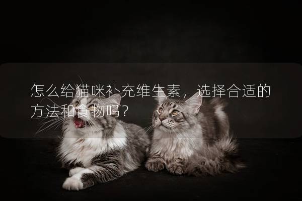 怎么给猫咪补充维生素，选择合适的方法和食物吗？