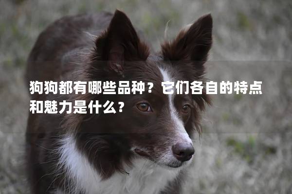 狗狗都有哪些品种？它们各自的特点和魅力是什么？