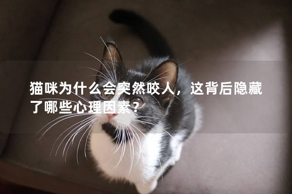 猫咪为什么会突然咬人，这背后隐藏了哪些心理因素？