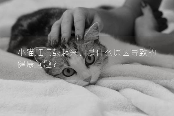 小猫肛门鼓起来，是什么原因导致的健康问题？