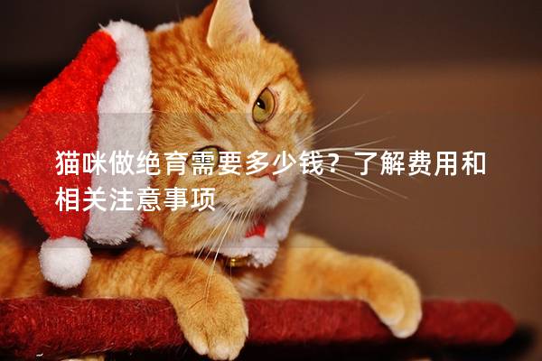 猫咪做绝育需要多少钱？了解费用和相关注意事项