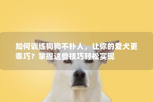 如何训练狗狗不扑人，让你的爱犬更乖巧？掌握这些技巧轻松实现