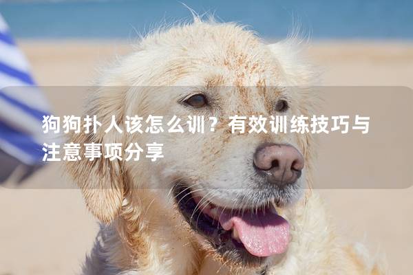 狗狗扑人该怎么训？有效训练技巧与注意事项分享