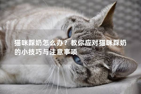 猫咪踩奶怎么办？教你应对猫咪踩奶的小技巧与注意事项